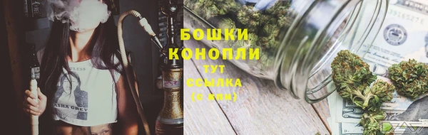 ГАЛЛЮЦИНОГЕННЫЕ ГРИБЫ Мегион