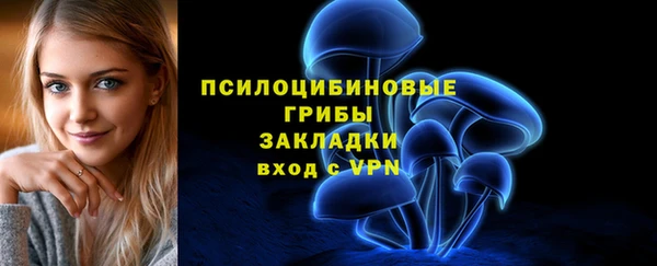 ECSTASY Алзамай