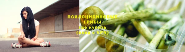 ГАЛЛЮЦИНОГЕННЫЕ ГРИБЫ Мегион
