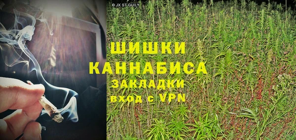 ГАЛЛЮЦИНОГЕННЫЕ ГРИБЫ Мегион