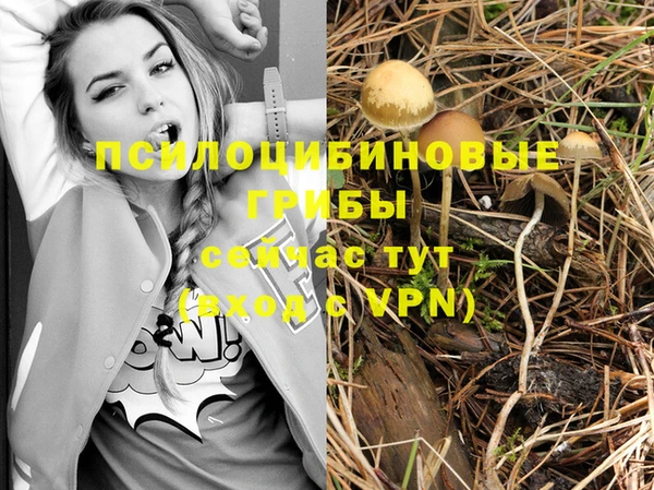 ГАЛЛЮЦИНОГЕННЫЕ ГРИБЫ Мегион