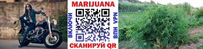 как найти закладки  Гвардейск  Канабис марихуана 